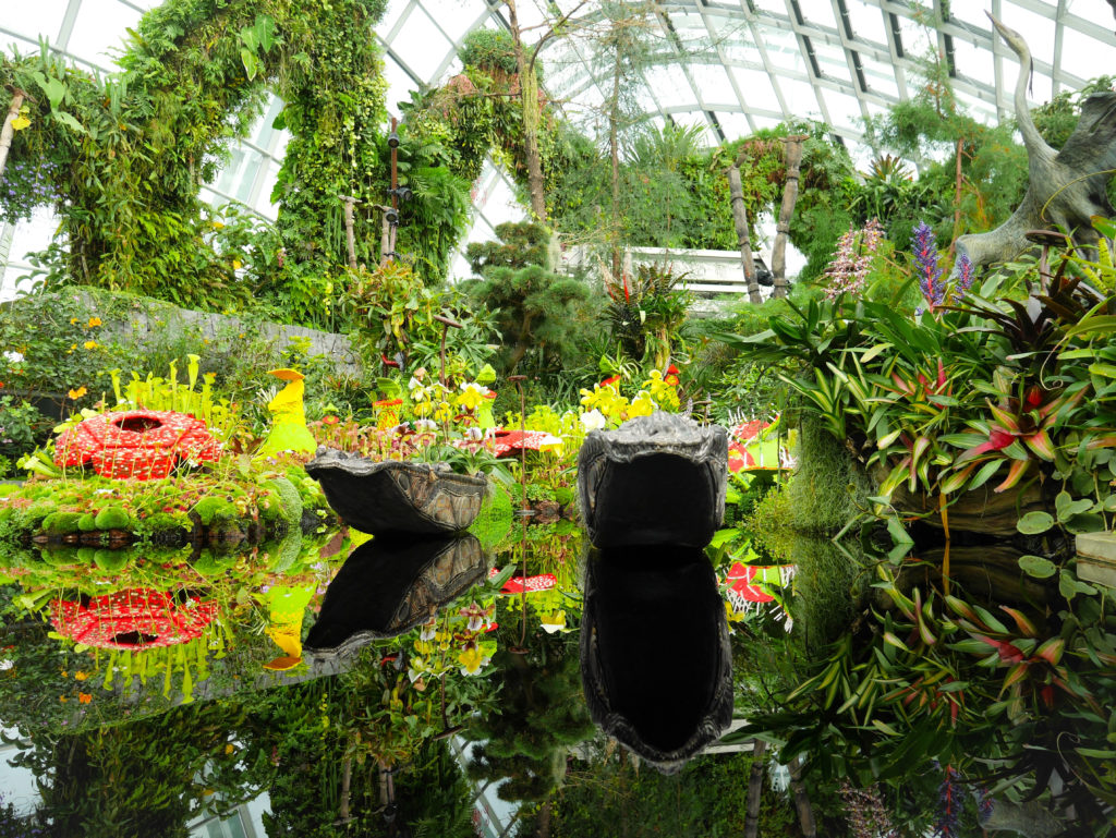 Gardens By The Bay Singapore