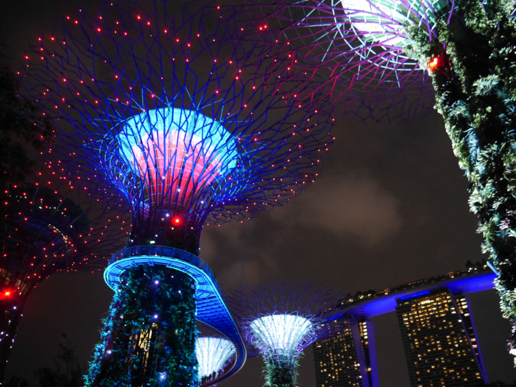 Gardens by the Bay Singapur