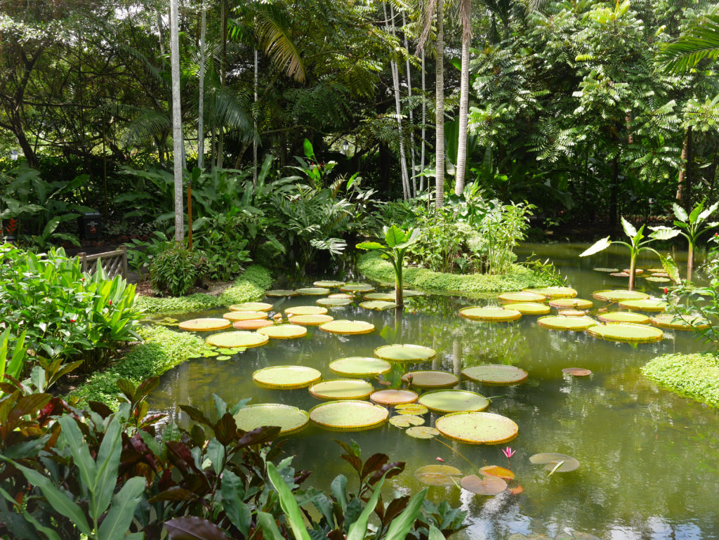 Botanic Gardens Singapur