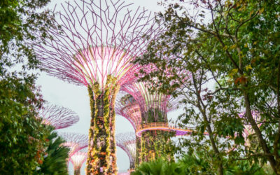 Lugares que tienes que visitar en Singapur
