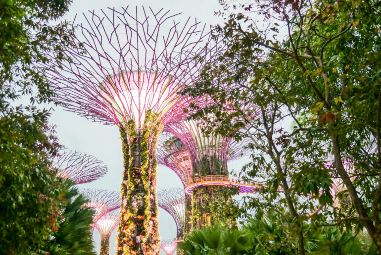 Lugares que tienes que visitar en Singapur