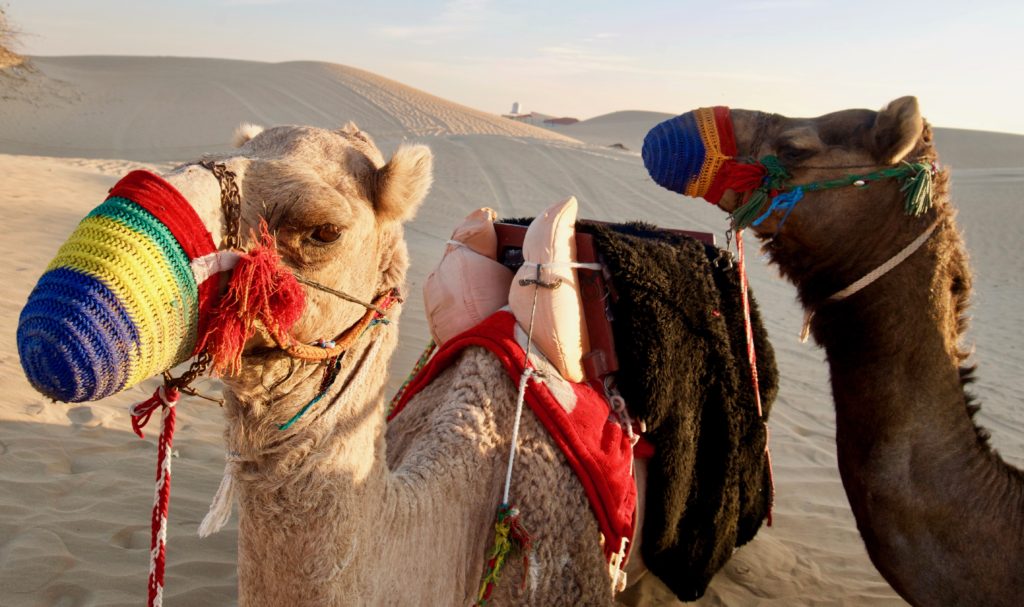 ¿Cuánto cuesta viajar a Dubai?