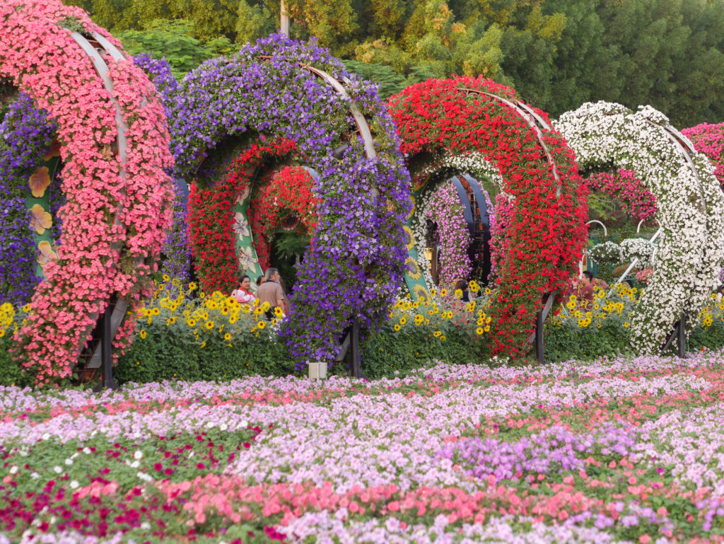 Miracle Garden