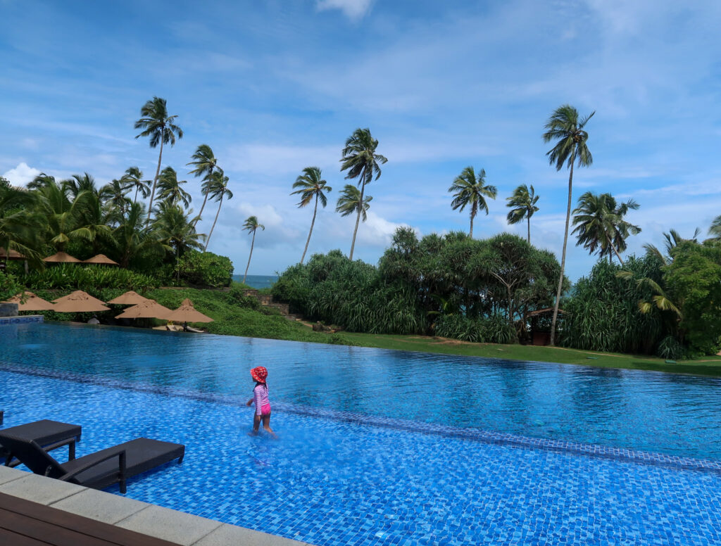 Qué hacer en Sri Lanka 